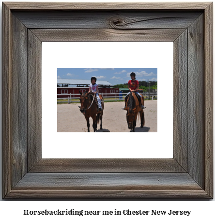 horseback riding near me in Chester, New Jersey